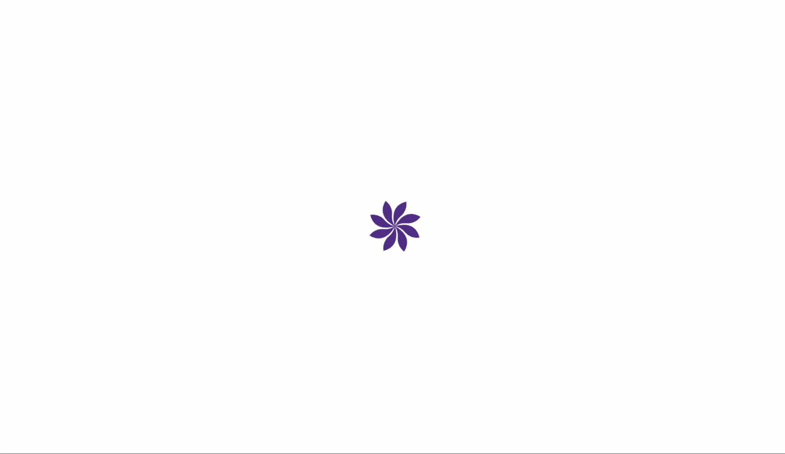 Math Ally demo